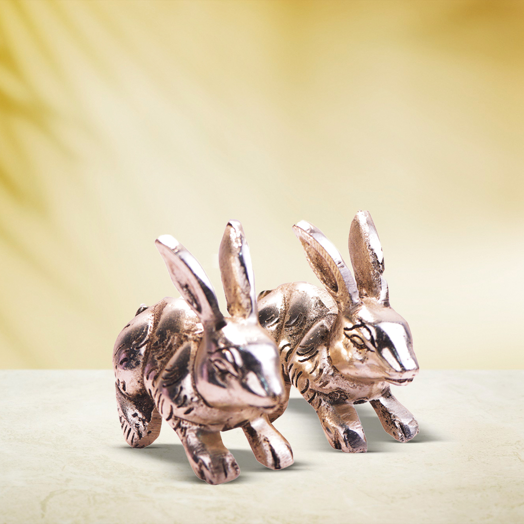 Devnidhii Rabbit Silver Plated For Good Luck and Prosperity Vastu/ Fengshui