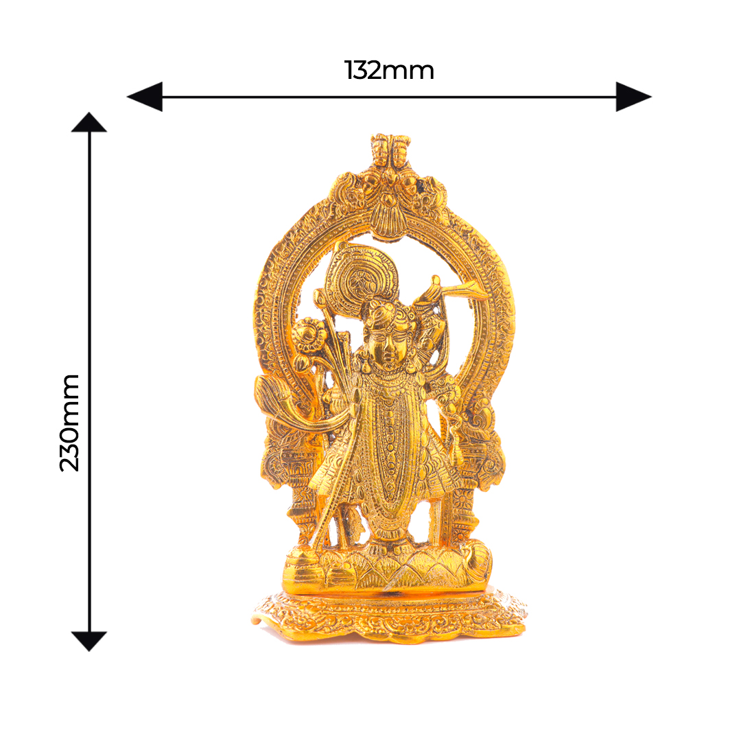 Devnidhii Banke Bihari Krishna Idol in Gold Polish
