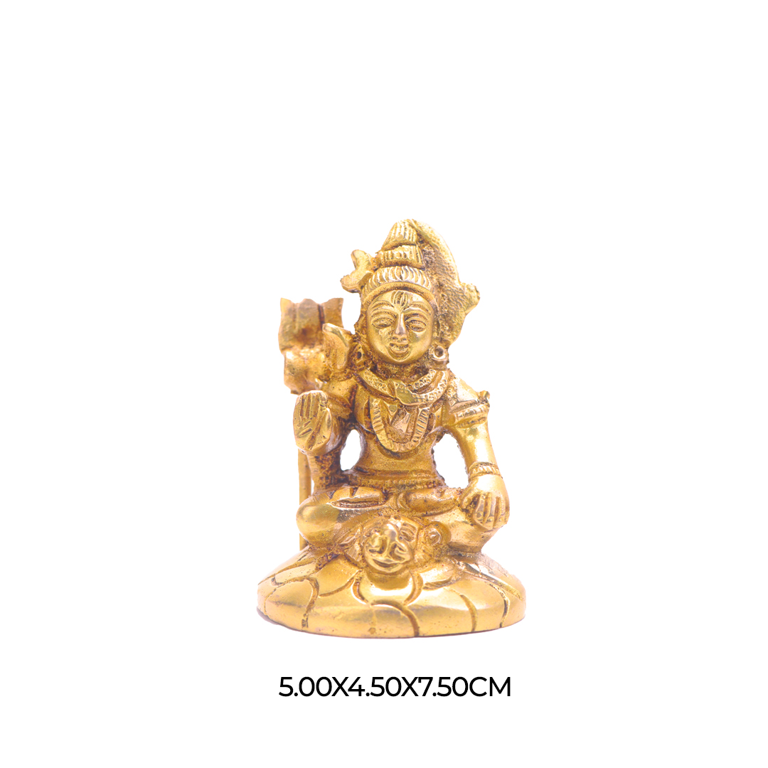 Devnidhii Shiv Ji Brass Idol in High Quality